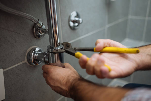 Best Local Plumber Services  in Aventura, FL